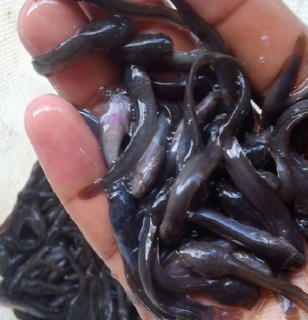 WhatsApp Image 2022-09-12 at 20.32.03